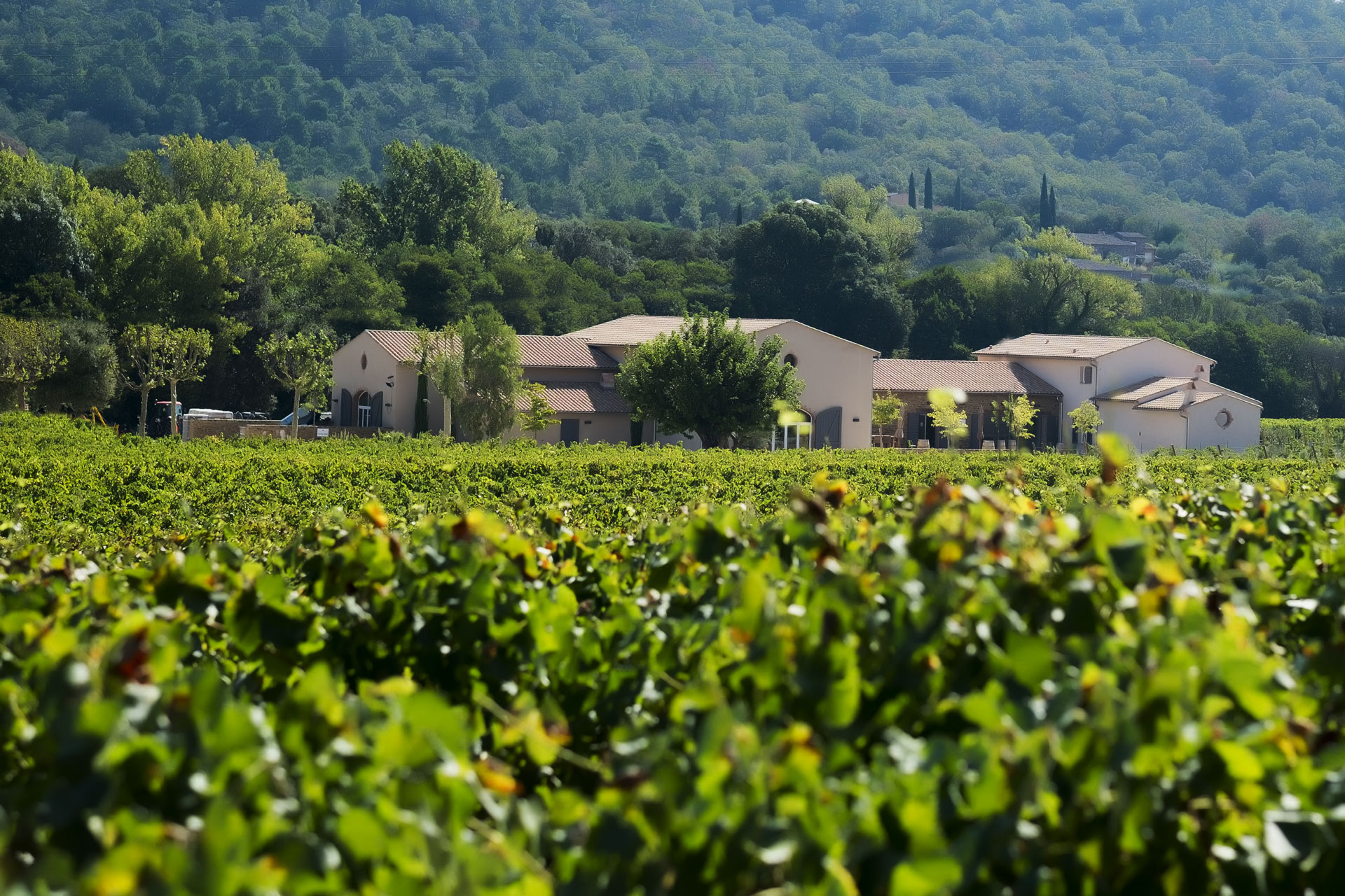 Vue panoramique des vignes et des bâtiments du Domaine de la Pertuade en Côtes de Provence