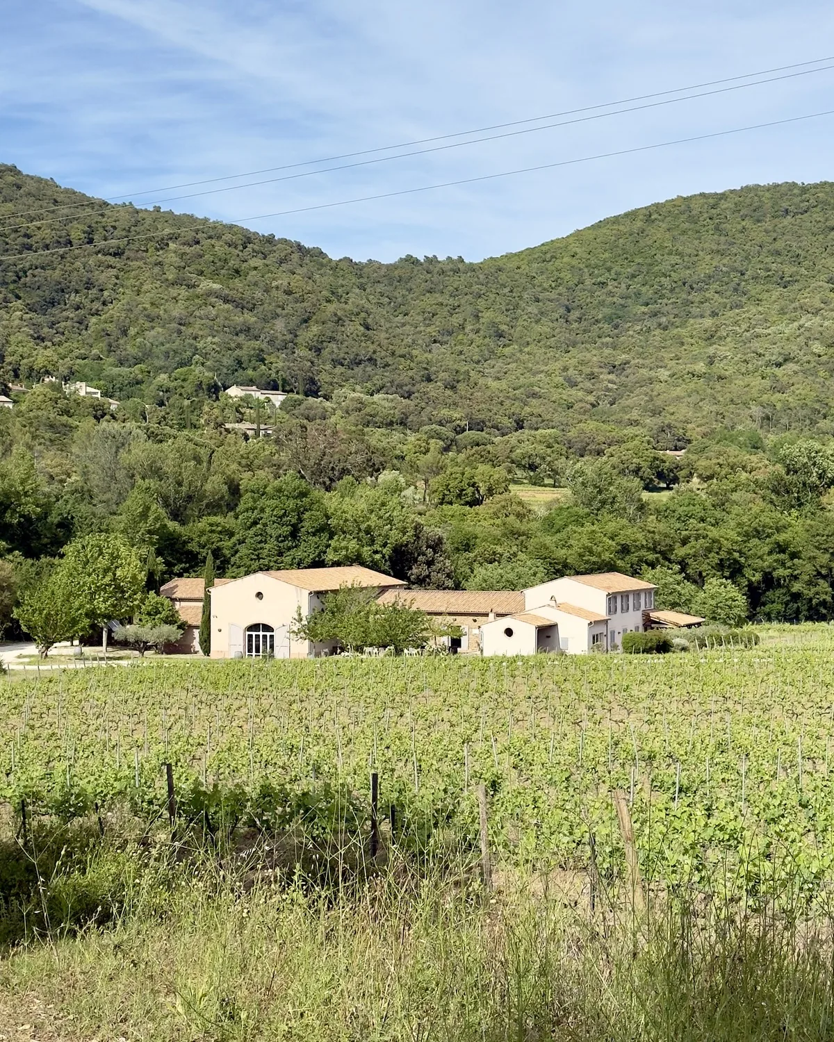 Terroir du Domaine de La Pertuade — vue du domaine